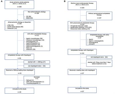 Platelet reactivity after clopidogrel loading in patients with acute ischemic stroke